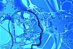 kaiyun官方入口登录-中国足球不同战术体系试验数据，国足战术风格