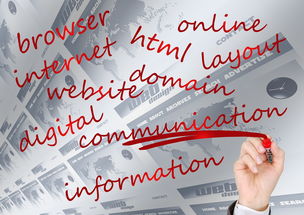 kaiyun网站-校园体育赛事品牌建设路径与传播策略研究，校园体育竞赛体系